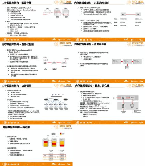 王中王三肖六码精准|数据解答解释落实_便利版.7.212
