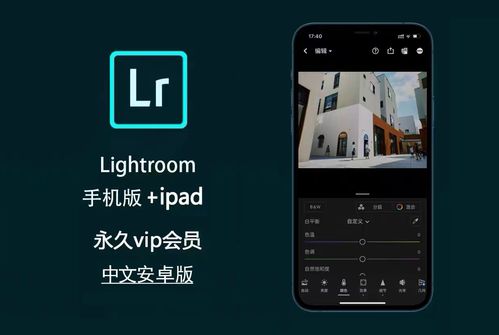 PKXD手机汉化中文版下载-PKXD官网下载v.6.56